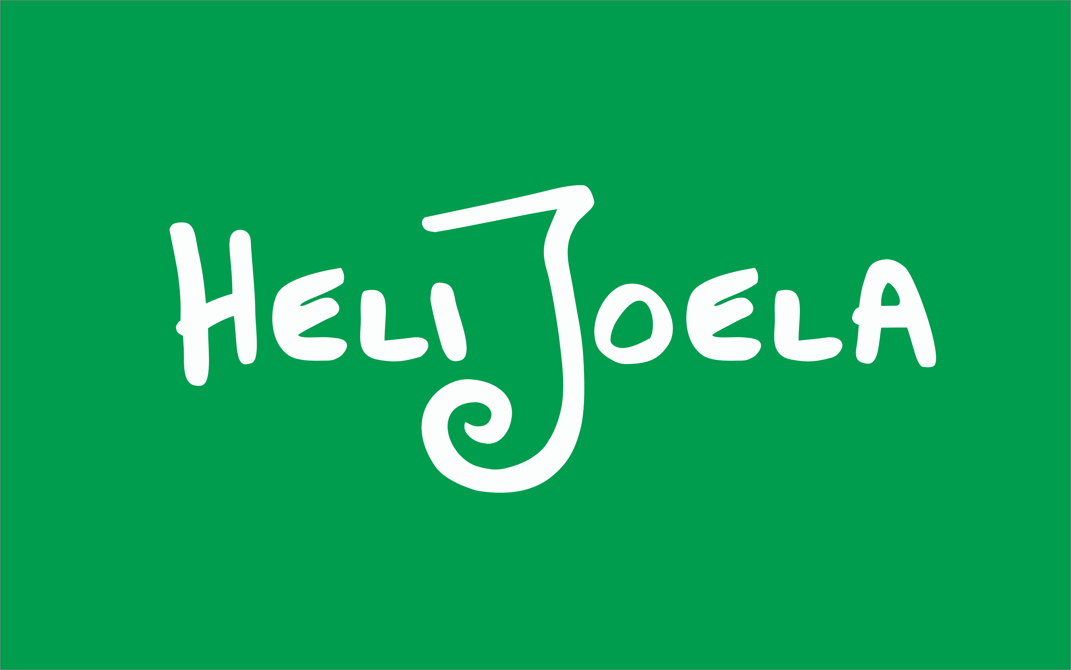 Heli Joela giftshop